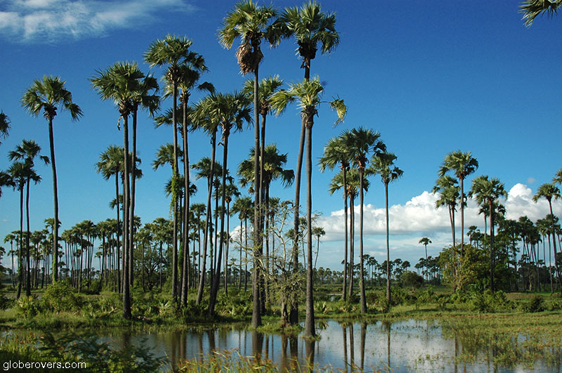 Rural scenery along the train ride from Mandalay to the north, Myanmar