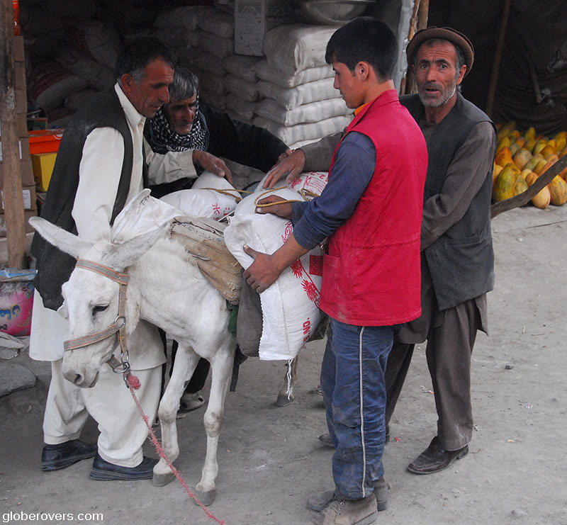 Donkey abuse, Shughnan, Shughnan