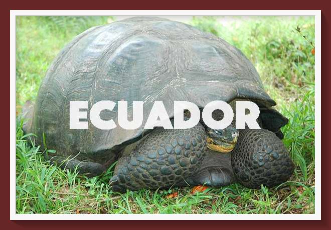 Ecuador