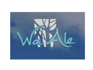 Wa Ale Island Resort Myanmar