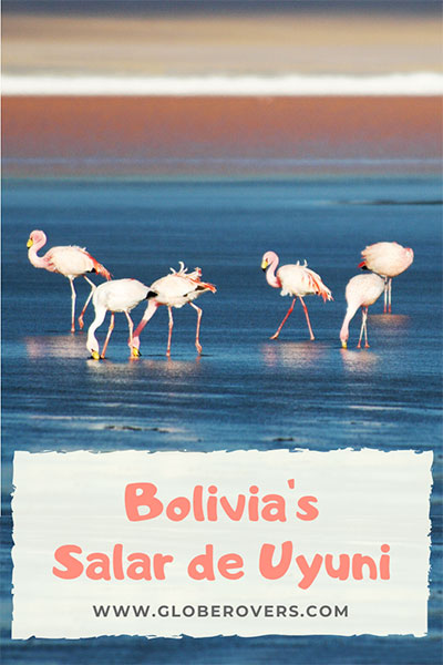 Flamingoes on Salar de Uyuni, Bolivia