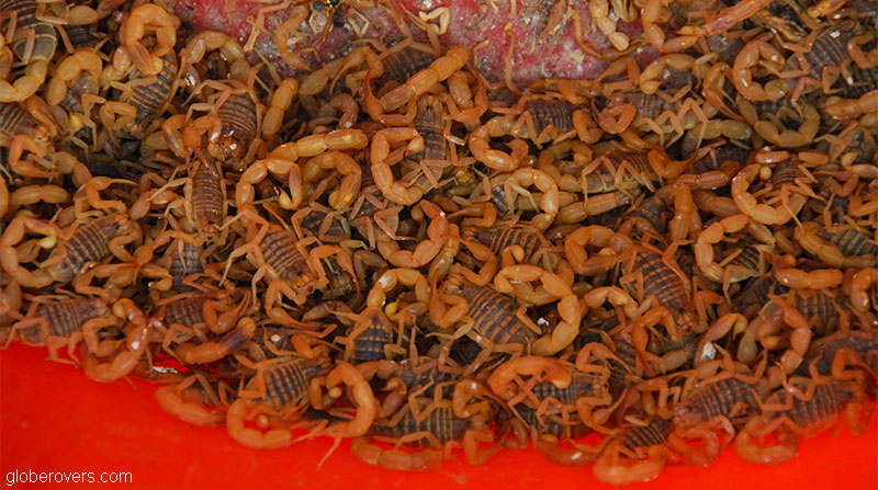 Scorpions, Kashgar, Xinjiang, China