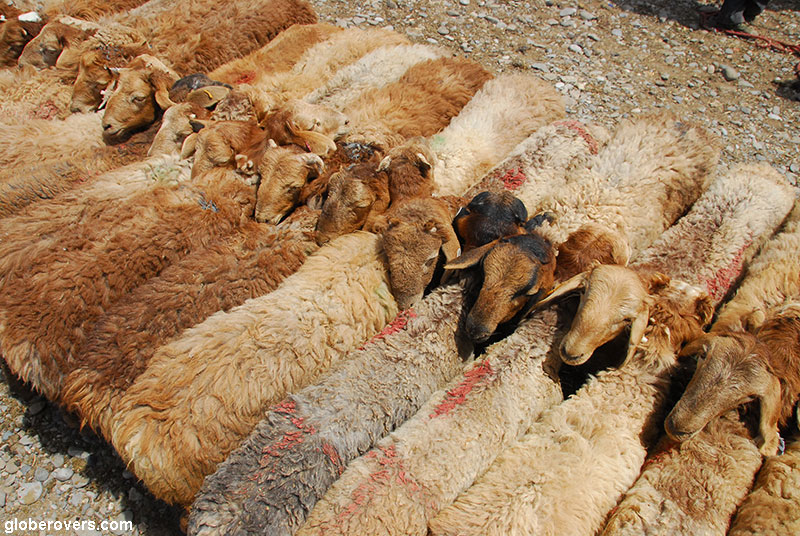 Sunday Market, Kashgar, Xinjiang, China