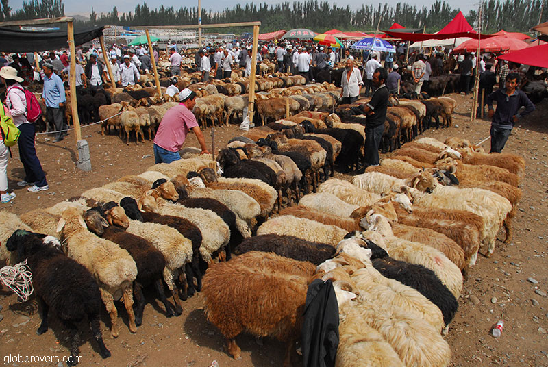 Sunday Market, Kashgar, Xinjiang, China