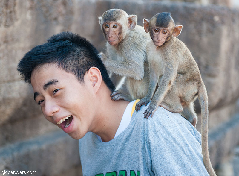 Thailand's Annual Monkey Buffet