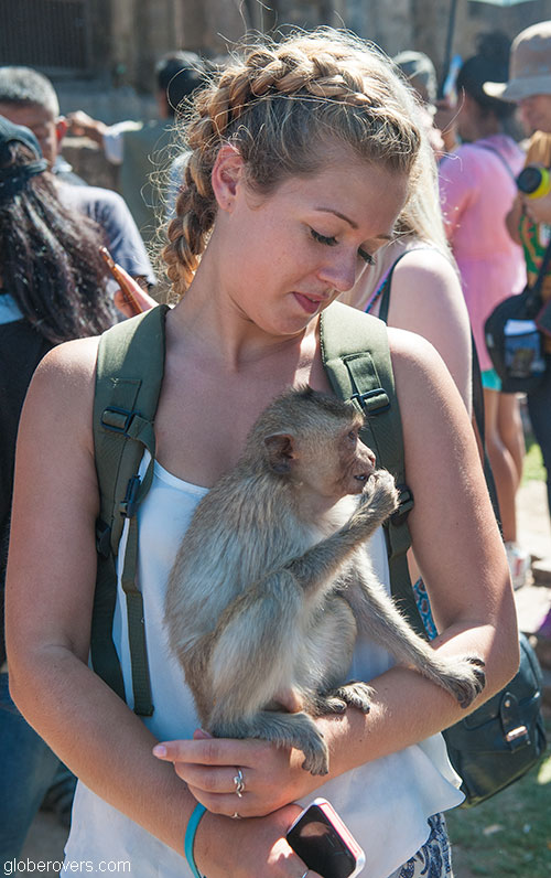 Thailand's Annual Monkey Buffet