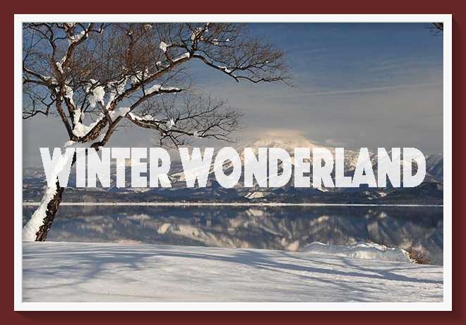 Winter Wonder Worlds
