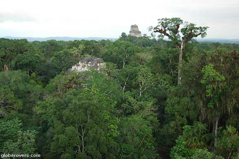 Temples, Tikal, Guatemala