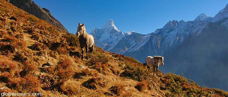 Hiking from Khumjung to Dole, Himalayas, Nepal