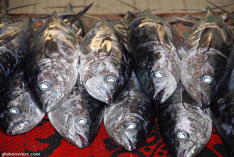 Fish Market, Muscat, Oman