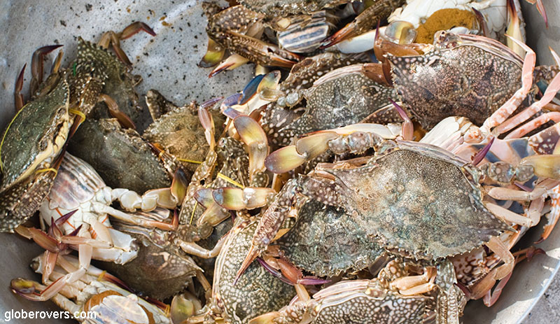 Crabs, Kep, Cambodia
