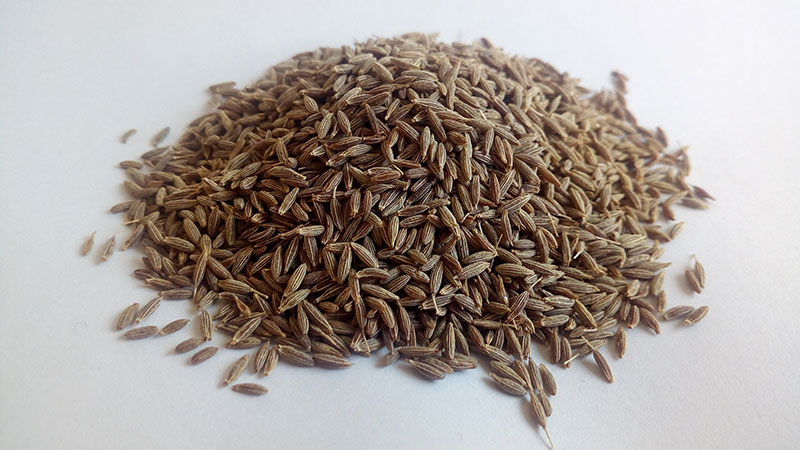 Iran Cumin Dried