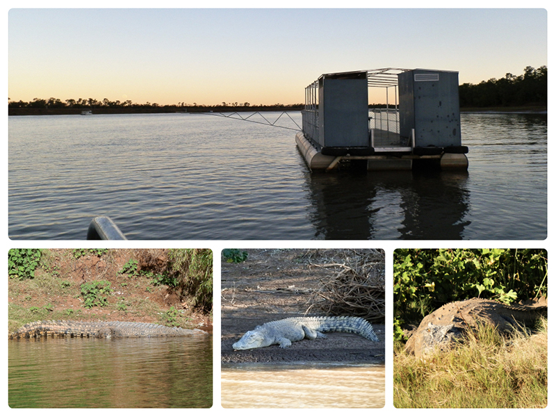 Victoria River crocodile-cruise loo.  Timber Creek, Northern Territory.
