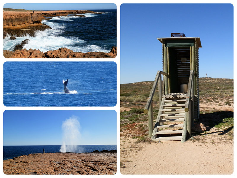 Blowholes and a  Dunny, Point Quobba, Western Australia