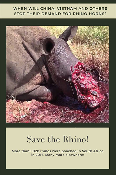 Save the rhinos