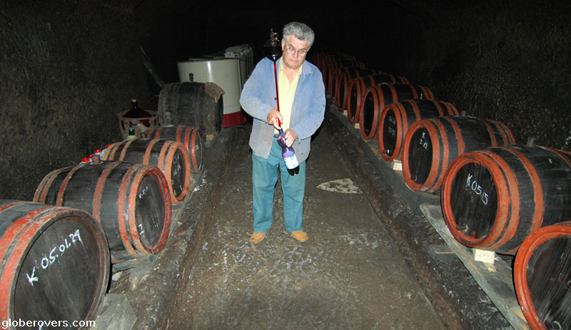 Winemaker-cellar-Valley-Nice-Beautiful-women-eger-hungary