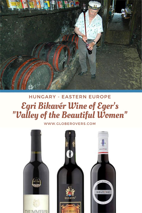 Winemaker-cellar-Valley-Nice-Beautiful-women-eger-hungary