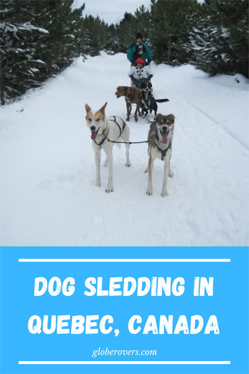 Dog Sledding, Quebec, Canada (Photo: Jonathan Maister)