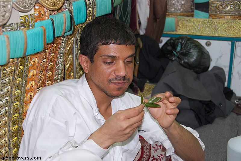 Men chewing qat, or khat in Sana'a, Yemen