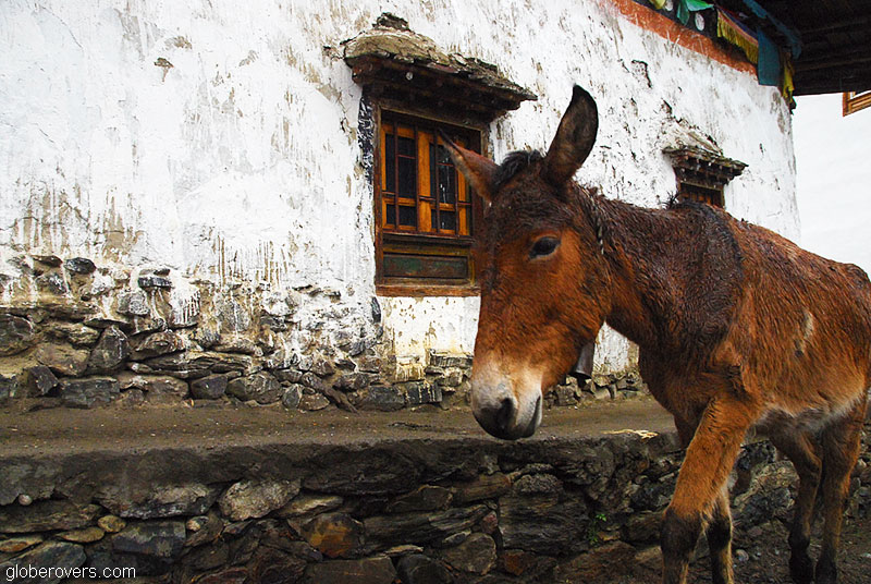 Yubeng Tibetan Village, Yunnan, CHINA