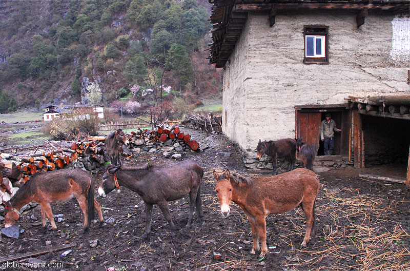 Yubeng Tibetan Village, Yunnan, CHINA