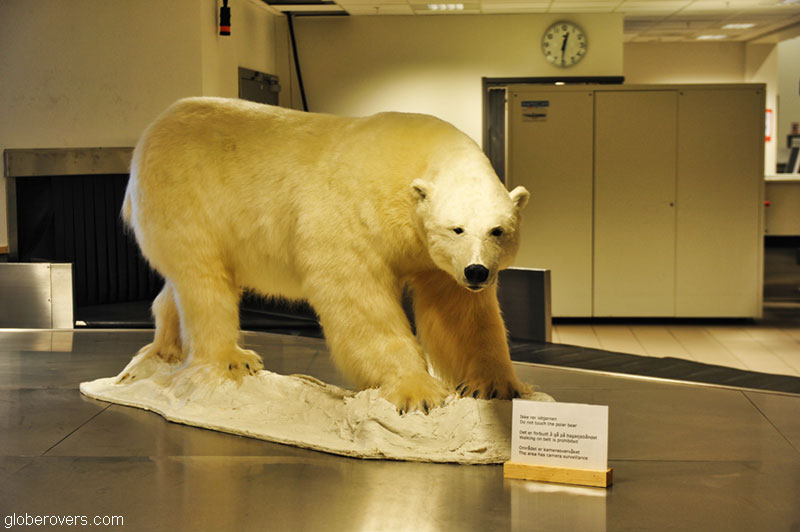 Svalbard-Norway-polar-bears