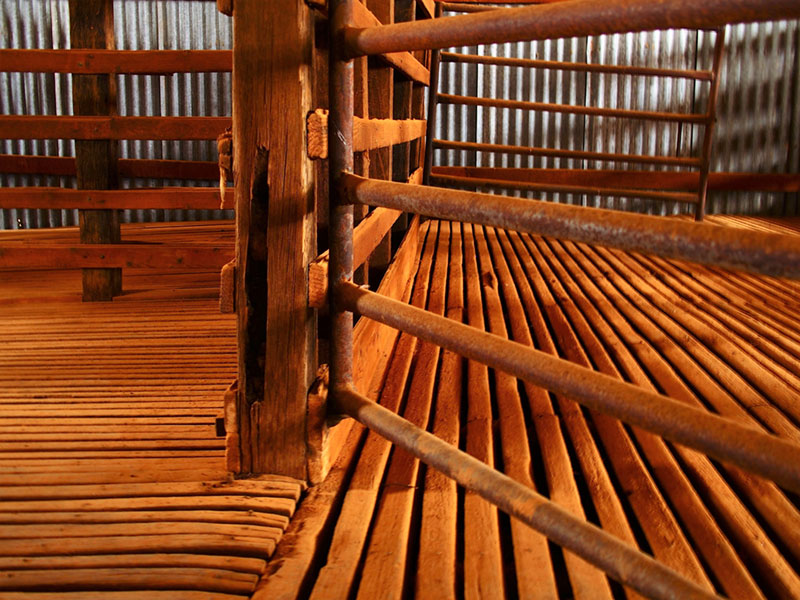 Woolshed at Sturt National Park, Australia