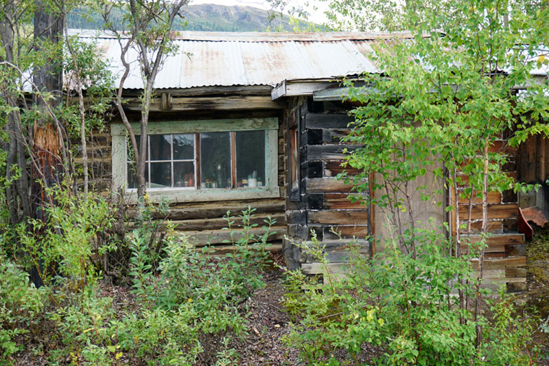 Alteration Anni's old cabin and her prostitution business from the 1940s, Keno City, Yukon, Canada