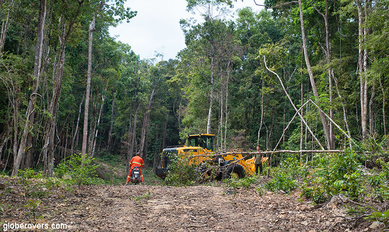 Deforesting at Clear Water Bay, Koh Rong Sanloem, Cambodia