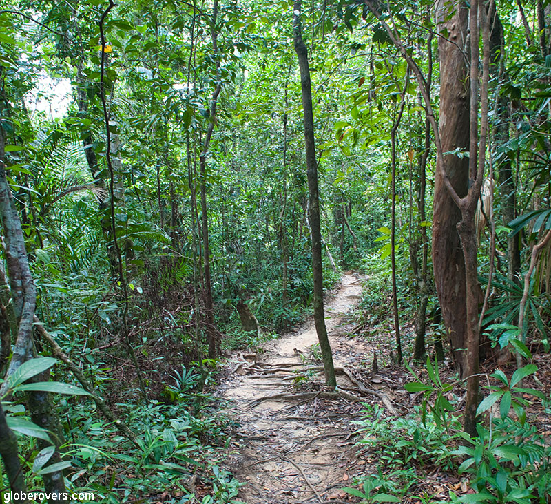 Path through the jungle that connects the Western Beaches, Koh Rong Sanloem, Cambodia