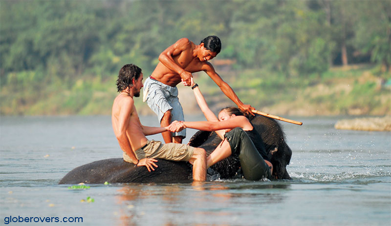 Torturous Tourism - Torture of elephants
