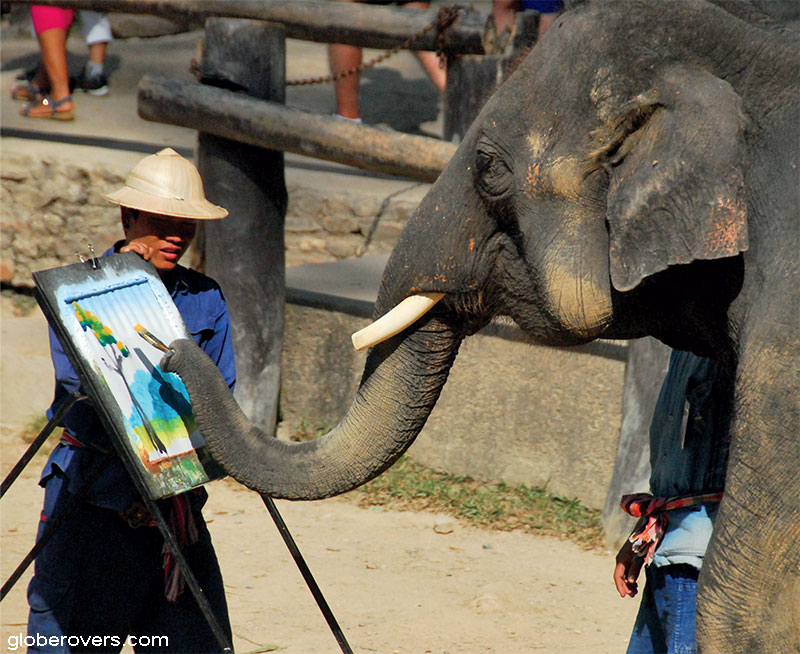 Torture of elephants