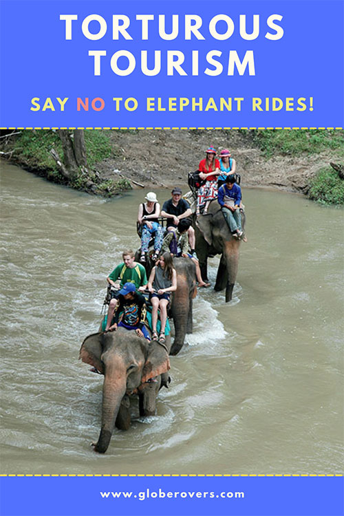 Torturous Tourism - Torture of elephants