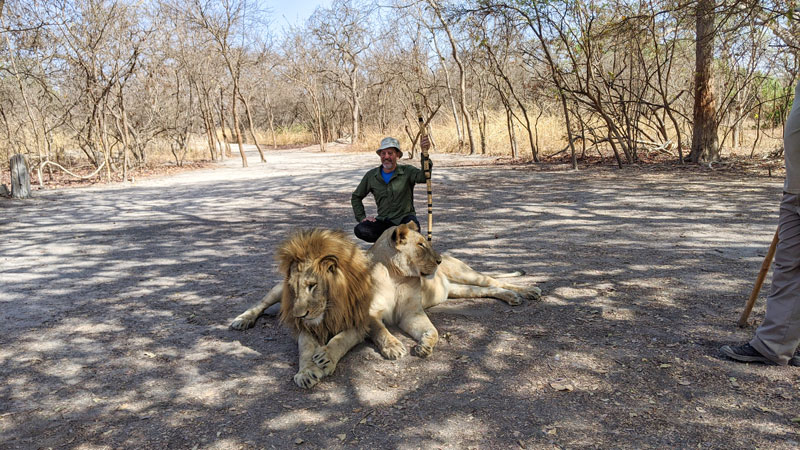 Craig with the lions in Senegal