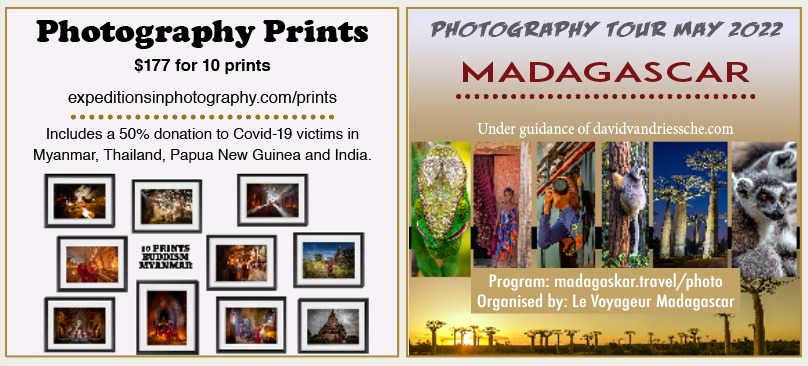 David Van Driessche Tour