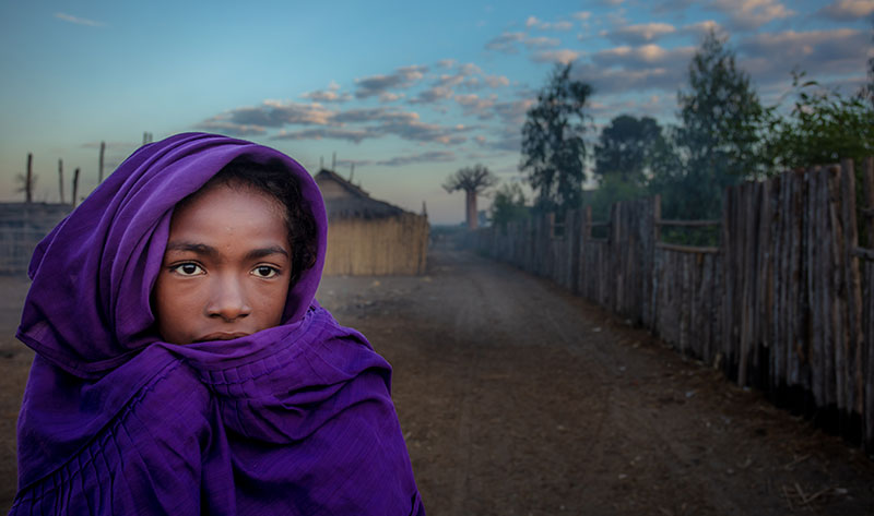 David Van Driessche, Madagascar