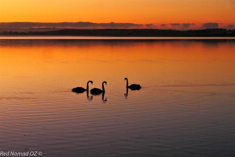 Kangaroo Island, South Australia