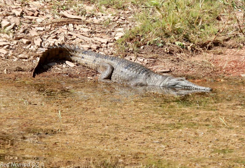 Kimberley, Western Australia