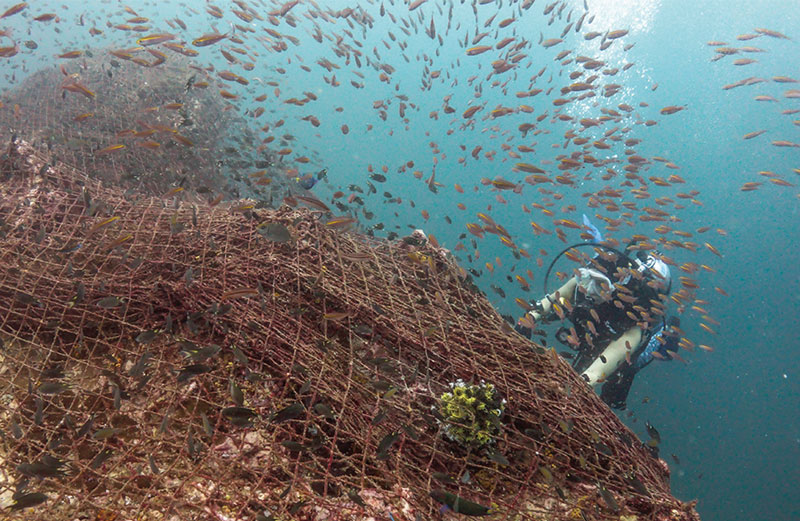 Myanmar Ocean Project