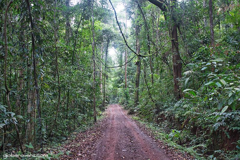 Road to Huang Nam Keaw Waterfall, Ko Kut, Thailand