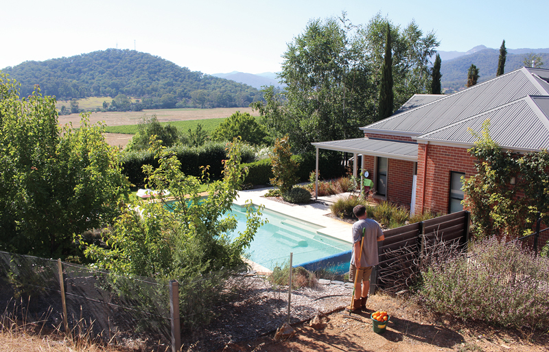 House-sitting in Australia