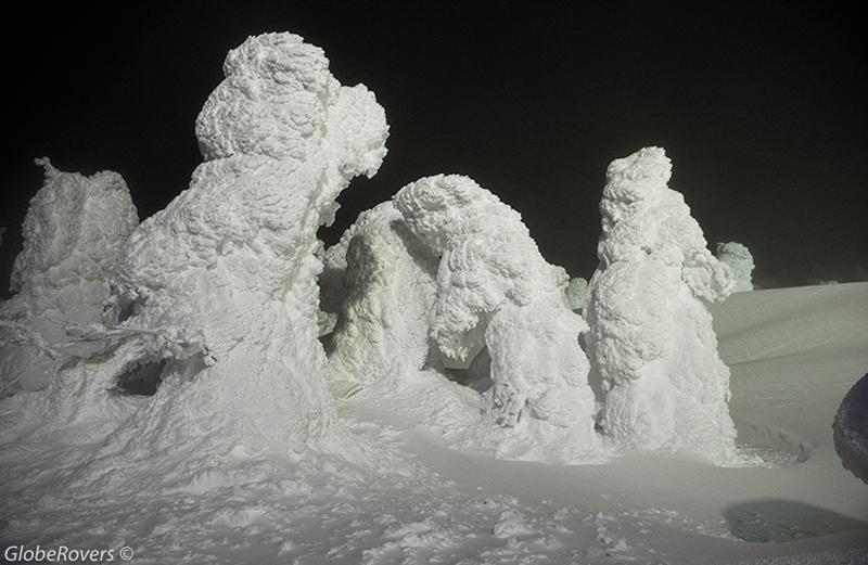 Winter Activities in Japan