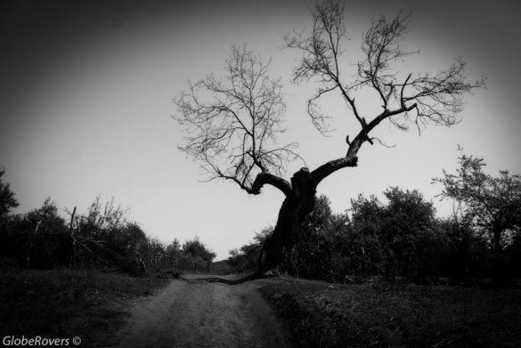 Arslanbob, Kyrgyzstan