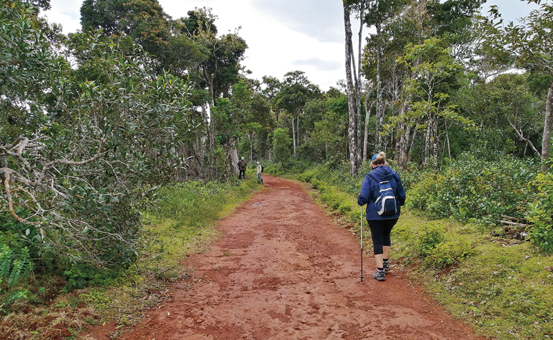 Hiking to Petrin Kiosk, Black River National Park