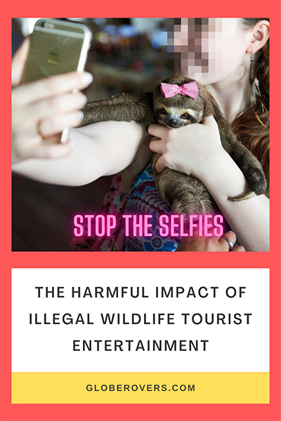 No wildlife selfies please
