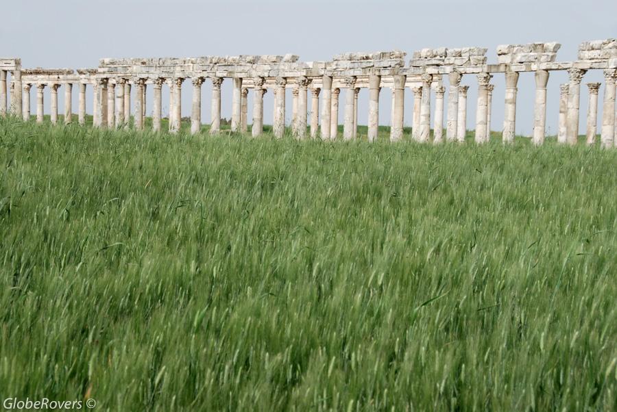 Apamea, Syria, Middle East