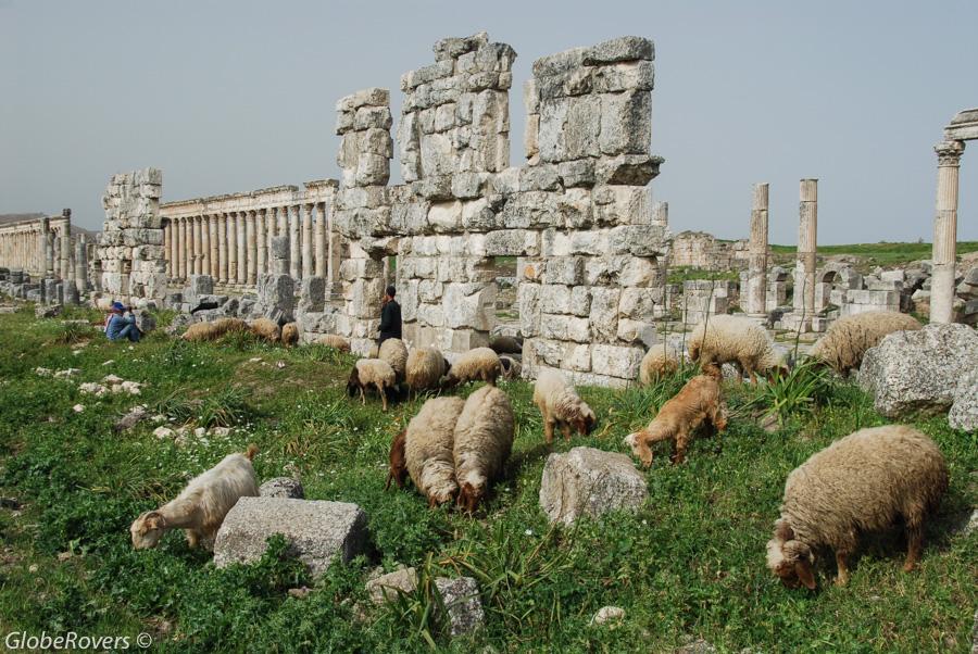 Apamea, Syria, Middle East