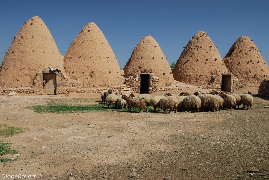 Village of Twalid Dabaghein, Syria, Middle East