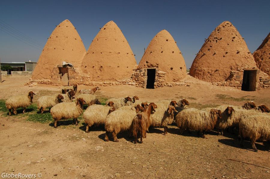 Village of Twalid Dabaghein, Syria, Middle East