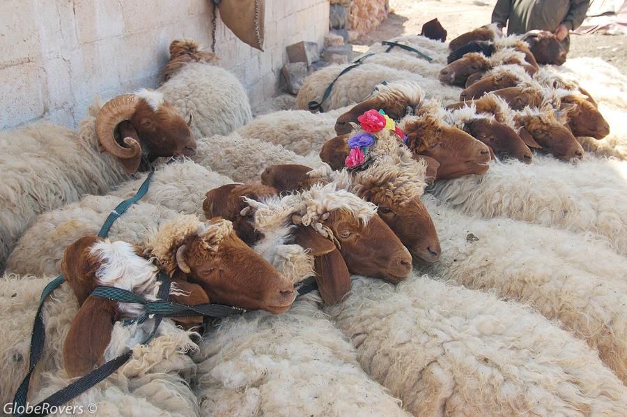 Village of Twalid Dabaghein, Syria, Middle East